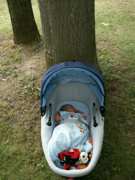 On a trouv� un b�b� sous un arbre !